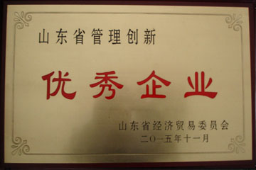 枣庄华盈变压器厂管理创新优秀企业证书