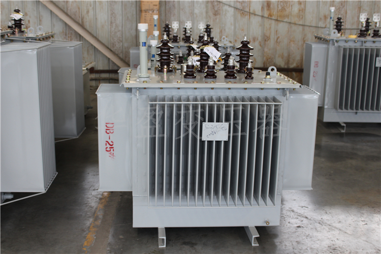 枣庄S20-800kVA/10kV/0.4kV变压器